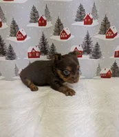 processed/6caa5903-aa86-408e-92bf-628c404b6170/listing/4c9135f5-e0ac-497b-ac42-140a2123ea55/99da2862-acd2-46af-8fa3-bca9d31e4047