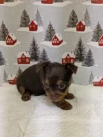 processed/6caa5903-aa86-408e-92bf-628c404b6170/listing/4c9135f5-e0ac-497b-ac42-140a2123ea55/f11801fa-153c-4a4c-8229-8fb91076100f