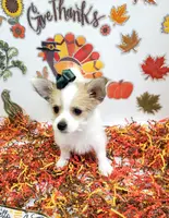 processed/6caa5903-aa86-408e-92bf-628c404b6170/listing/5cdb64cb-1048-4732-b7dd-aadc9595111b/25e50af6-e4e7-4d48-b2d0-15b7da44fded