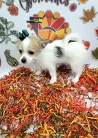 processed/6caa5903-aa86-408e-92bf-628c404b6170/listing/5cdb64cb-1048-4732-b7dd-aadc9595111b/90f2a059-9192-4aa6-a801-c9d6f52a450f