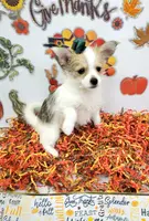 processed/6caa5903-aa86-408e-92bf-628c404b6170/listing/5cdb64cb-1048-4732-b7dd-aadc9595111b/cd3aff61-f16c-4def-ae43-255fa910fd9f