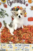 processed/6caa5903-aa86-408e-92bf-628c404b6170/listing/5cdb64cb-1048-4732-b7dd-aadc9595111b/e2b924f0-63af-4078-943c-d69a877c094a