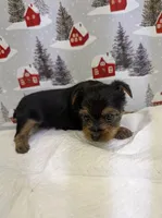 processed/6caa5903-aa86-408e-92bf-628c404b6170/listing/c607d2c8-6489-4981-81f0-88fb56007c38/37aceaf1-9fc0-4fe9-b1fa-c7ca01cd94fb