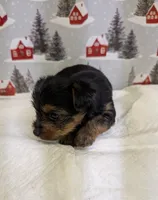 processed/6caa5903-aa86-408e-92bf-628c404b6170/listing/c607d2c8-6489-4981-81f0-88fb56007c38/b7c56d89-5505-4c41-b5bd-c6612b7e0dc2