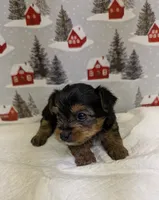 processed/6caa5903-aa86-408e-92bf-628c404b6170/listing/c607d2c8-6489-4981-81f0-88fb56007c38/b96a73c8-74d7-4e9e-b102-8662f2acd4df