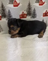 processed/6caa5903-aa86-408e-92bf-628c404b6170/listing/c607d2c8-6489-4981-81f0-88fb56007c38/c032fa50-61c9-4d3e-ba9f-ee3238a26d3b