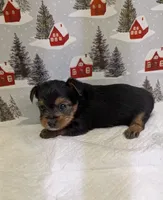 processed/6caa5903-aa86-408e-92bf-628c404b6170/listing/c607d2c8-6489-4981-81f0-88fb56007c38/c8499ec4-747b-4f3d-b9c2-bc92c19b4d6b