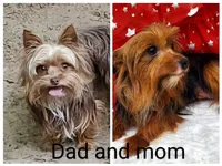 processed/6caa5903-aa86-408e-92bf-628c404b6170/listing/d73519b8-d16e-4241-8080-933265d32352/53df4ec7-95db-44bb-84a9-5b983732021e