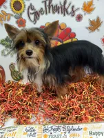 processed/6caa5903-aa86-408e-92bf-628c404b6170/listing/d73519b8-d16e-4241-8080-933265d32352/776ed688-b5b2-46f5-8802-7f914fabdd47