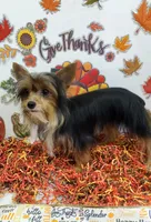 processed/6caa5903-aa86-408e-92bf-628c404b6170/listing/d73519b8-d16e-4241-8080-933265d32352/a7552add-af93-4af1-aaa6-09a74c221b32