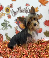 processed/6caa5903-aa86-408e-92bf-628c404b6170/listing/d73519b8-d16e-4241-8080-933265d32352/b01926c6-1853-41be-a77f-a9c4138fd2ff