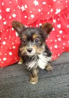 processed/6caa5903-aa86-408e-92bf-628c404b6170/listing/d73519b8-d16e-4241-8080-933265d32352/ce5c0383-8ab3-4ff4-a61e-efe425ff642d