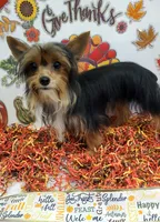 processed/6caa5903-aa86-408e-92bf-628c404b6170/listing/d73519b8-d16e-4241-8080-933265d32352/e4223471-708d-4763-a65c-4d578a9d51e4