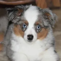 Facility photo
