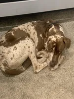 processed/6cb2a689-eabc-49c8-8b1b-54eda6aac235/facility/30bc45dc-53a5-4600-b4b0-9403b25f4082