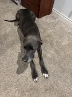 processed/6cb2a689-eabc-49c8-8b1b-54eda6aac235/facility/6ad9e6d6-c811-40a4-b7df-206983029c33