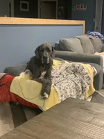 processed/6cb2a689-eabc-49c8-8b1b-54eda6aac235/facility/8faa86bc-a92d-4361-a0bd-df805b3101fc