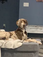 processed/6cb2a689-eabc-49c8-8b1b-54eda6aac235/facility/cfb18ea2-527e-4bdf-876b-404fad48c096