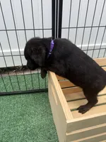 processed/6cc90f33-88f2-4e29-8420-c71a6ec341fb/listing/35e6fd10-e237-420a-b3a8-61d9eda21d92/dc35c563-a969-4d99-913b-c6d4a93298bb