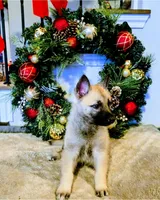 processed/6ccb7134-8c7a-4b44-b3cd-c26584bf1055/listing/dfb14009-3c49-4f26-aa21-71416818d06f/2bbe7b64-6f36-4b0f-abac-5b9a3cfb07a7