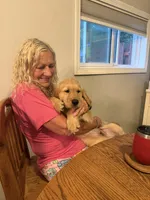 Blue, a male Golden Retriever for sale in Greenfield, OH – 3 of 10