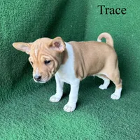 processed/6cd43073-9ed5-422a-882c-cc4f6ade8ac7/listing/2a7cebfa-9503-462d-a31c-2d6dcb48cb57/118ad29f-16a7-42f6-9f4e-991d91a59dc3