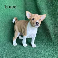 processed/6cd43073-9ed5-422a-882c-cc4f6ade8ac7/listing/2a7cebfa-9503-462d-a31c-2d6dcb48cb57/25409153-8e7f-4f32-812c-33a403a8c77f