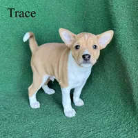 processed/6cd43073-9ed5-422a-882c-cc4f6ade8ac7/listing/2a7cebfa-9503-462d-a31c-2d6dcb48cb57/74a68e33-cfa4-4b7f-b227-44087c3dd76a