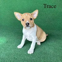 processed/6cd43073-9ed5-422a-882c-cc4f6ade8ac7/listing/2a7cebfa-9503-462d-a31c-2d6dcb48cb57/76f34b29-30da-43b3-988c-61f1e01410b5