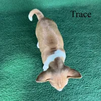 processed/6cd43073-9ed5-422a-882c-cc4f6ade8ac7/listing/2a7cebfa-9503-462d-a31c-2d6dcb48cb57/af1b4184-8a14-4113-8c60-80a111ca6c00