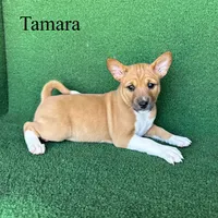 processed/6cd43073-9ed5-422a-882c-cc4f6ade8ac7/listing/3088eb9a-8ff8-4cf0-8fb0-91e89fc96ee9/285aff66-2fc7-40d3-bc7c-d75bcb5845cf