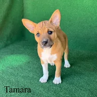 processed/6cd43073-9ed5-422a-882c-cc4f6ade8ac7/listing/3088eb9a-8ff8-4cf0-8fb0-91e89fc96ee9/2ca0d92f-e9a3-41cb-820d-4067a75b1345