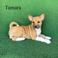 processed/6cd43073-9ed5-422a-882c-cc4f6ade8ac7/listing/3088eb9a-8ff8-4cf0-8fb0-91e89fc96ee9/4b1c1286-51a0-4a84-97a4-50805367ed24