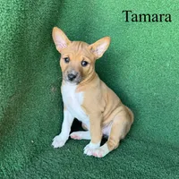 processed/6cd43073-9ed5-422a-882c-cc4f6ade8ac7/listing/3088eb9a-8ff8-4cf0-8fb0-91e89fc96ee9/50765c87-1db2-43b2-bad5-eb0cb8d21b34