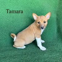 processed/6cd43073-9ed5-422a-882c-cc4f6ade8ac7/listing/3088eb9a-8ff8-4cf0-8fb0-91e89fc96ee9/bd90c77c-4f62-4663-8d66-dab4f491bd9a