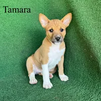 processed/6cd43073-9ed5-422a-882c-cc4f6ade8ac7/listing/3088eb9a-8ff8-4cf0-8fb0-91e89fc96ee9/f57ee55b-4e55-43e5-a234-cb2aff0550bb