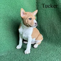 processed/6cd43073-9ed5-422a-882c-cc4f6ade8ac7/listing/85103242-b103-4974-be35-0ca9c1539904/33b7e615-13d4-4da1-9ca4-7279ac453f5d