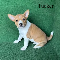 processed/6cd43073-9ed5-422a-882c-cc4f6ade8ac7/listing/85103242-b103-4974-be35-0ca9c1539904/3b969e11-c3e0-45c9-971b-8f31011a9235