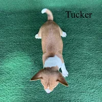 processed/6cd43073-9ed5-422a-882c-cc4f6ade8ac7/listing/85103242-b103-4974-be35-0ca9c1539904/619ee5ef-f742-4773-bb63-1bcf02e8be16