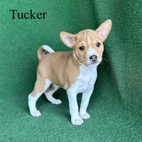 processed/6cd43073-9ed5-422a-882c-cc4f6ade8ac7/listing/85103242-b103-4974-be35-0ca9c1539904/8f685171-6741-441b-acb8-e45a397bfd78