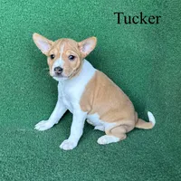 processed/6cd43073-9ed5-422a-882c-cc4f6ade8ac7/listing/85103242-b103-4974-be35-0ca9c1539904/a328aafd-abbb-42dc-8776-ca17d5eaebb1