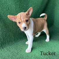 processed/6cd43073-9ed5-422a-882c-cc4f6ade8ac7/listing/85103242-b103-4974-be35-0ca9c1539904/c3b84f83-5dd8-4c79-ba76-e3ea9d2995da