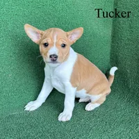 processed/6cd43073-9ed5-422a-882c-cc4f6ade8ac7/listing/85103242-b103-4974-be35-0ca9c1539904/c6e0a5df-297e-48cd-8e59-a6e92a76375a