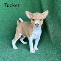 processed/6cd43073-9ed5-422a-882c-cc4f6ade8ac7/listing/85103242-b103-4974-be35-0ca9c1539904/e6d5bfe8-785e-48c9-a375-2c1cdfc94f3b