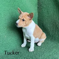 processed/6cd43073-9ed5-422a-882c-cc4f6ade8ac7/listing/85103242-b103-4974-be35-0ca9c1539904/ef771bea-2ae9-4d21-b445-8269b479f0bb