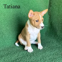 processed/6cd43073-9ed5-422a-882c-cc4f6ade8ac7/listing/8f67edf9-a875-4b2e-bd45-76948080525e/121b855e-d396-4c4f-abd5-c06a0a42a823