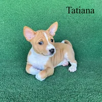 processed/6cd43073-9ed5-422a-882c-cc4f6ade8ac7/listing/8f67edf9-a875-4b2e-bd45-76948080525e/12e53450-0d17-44e7-91ba-0b5e96d94d4b