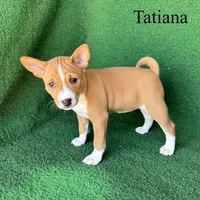 processed/6cd43073-9ed5-422a-882c-cc4f6ade8ac7/listing/8f67edf9-a875-4b2e-bd45-76948080525e/5a68092e-145d-420b-b1aa-e7bee8de334d