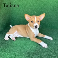 processed/6cd43073-9ed5-422a-882c-cc4f6ade8ac7/listing/8f67edf9-a875-4b2e-bd45-76948080525e/6de236d2-c1e9-403d-8bba-b139bbdfe8dd