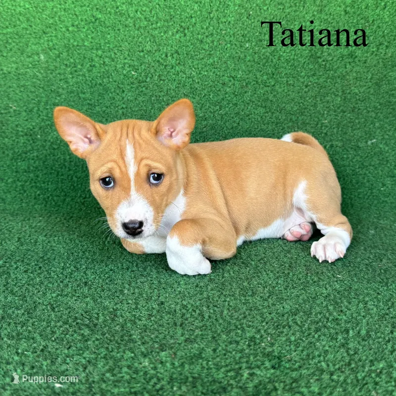 Tatiana